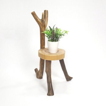 【温泉流木】椅子型かわいい丸太の飾り台スタンド006跳ねる枝 置台 ミニ花台 流木インテリアの画像