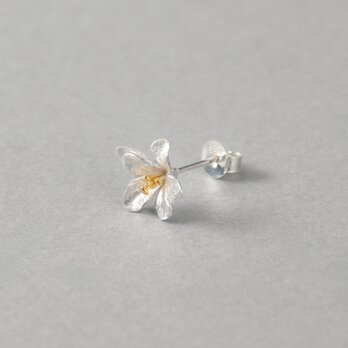 フリージア ピアスⅠ.