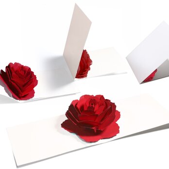 【名入れ】花のポップアップグリーティングカード〈レッド-ローズ〉forバースデー・ウェディング・アニバーサリーの画像