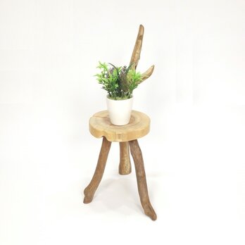 【温泉流木】椅子型かわいい丸太の飾り台スタンド012なびく枝 置台 ミニ花台 流木インテリアの画像