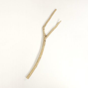 【温泉流木】分かれた枝が平行に伸びる枝流木 流木素材 インテリア素材 オブジェ レイアウトの画像