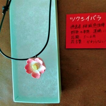 【特別価格】花ネックレス❖徳島県絶滅危惧種　ツクシイバラ❖木彫りの画像