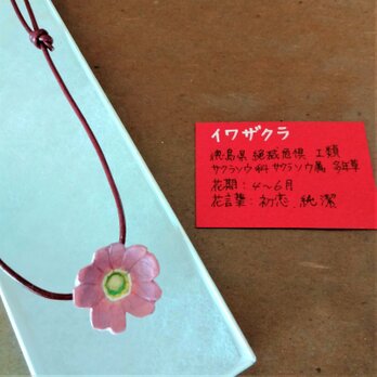 【特別価格】花ネックレス❖徳島県絶滅危惧種　イワザクラ❖木彫りの画像