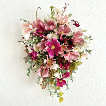Cosmos hanging basket IIの画像