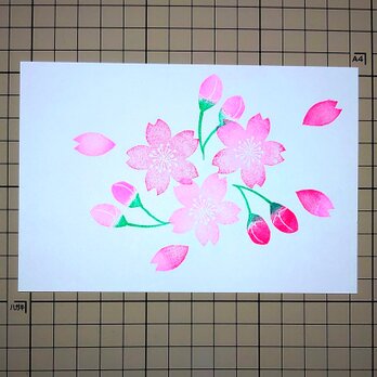 消しゴムはんこ「さくら・桜‣サクラ⑤」3個セットの画像