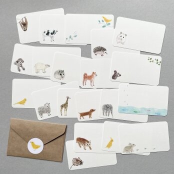 いろいろ動物メッセージカード 20枚の画像