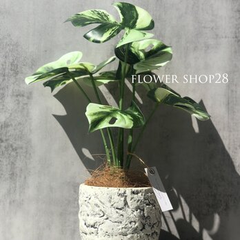 【モンステラ】フェイクグリーン　新築祝い　父の日　観葉植物　の画像