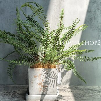 《タマシダ》造花 観葉植物 フェイクグリーン  インテリア 新築祝いの画像