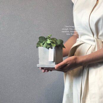 《ハーブ・シソ科》Sサイズ セージ フェイクグリーン 新築祝い グリーンインテリア 観葉植物 アーティフィシャルフラワーの画像
