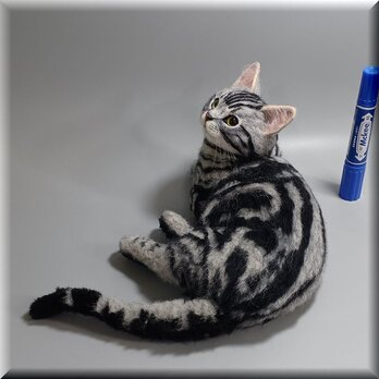 羊毛フェルト　猫　アメリカンショートヘア　ねこ　ネコ　アメショ　猫フィギュアの画像