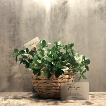 受注生産【ドウダンツツジ】フェイクグリーン　造花　アーティフィシャルフラワー　新築祝い　ギフト　観葉植物の画像