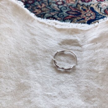 screw ring【silver925】の画像
