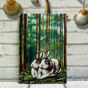 うさぎのポストカード　うさちゃん達の森林浴　同柄3枚セットの画像