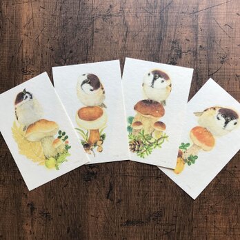 ポストカード『すずめ組』4種類セットの画像