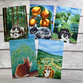 うさぎのポストカード　猫のポストカード　犬のポストカード　水彩画5枚セットの画像