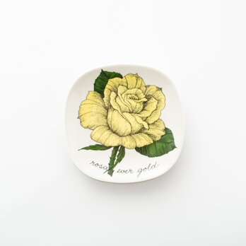 Botanica｜52｜ロサ・エバーゴールド / Rosa Ever Goldの画像