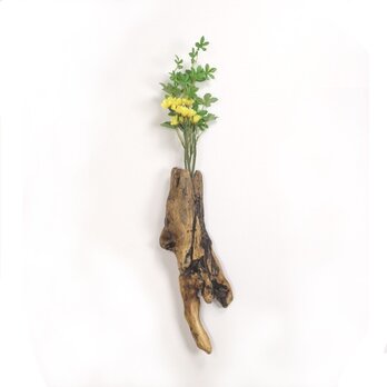 【温泉流木】鍾乳石を思わせる流木の壁掛け花器・一輪挿し 花瓶 木製 流木インテリアの画像
