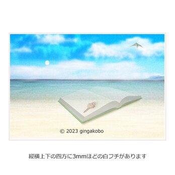 「風の頬杖」　海　本　貝殻　ほっこり癒しのイラストポストカード2枚組No.061の画像