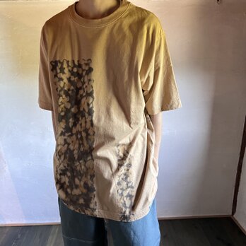 オーガニックコットンT Sololi men's L softの画像