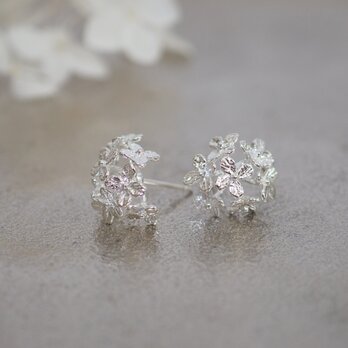 紫陽花のピアス(silver)の画像