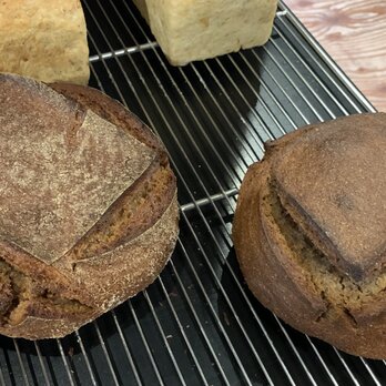 Rye Sourdough (ライ麦100%サワドウ)の画像