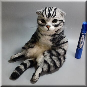 羊毛フェルト　猫　スコティッシュフォールド　ねこ　ネコ　猫フィギュアの画像