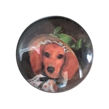 ドイツデザイン レジンボタン クリア ダックスフントレディS JK B-1731 ドッグ 犬 ミニチュアダックスの画像