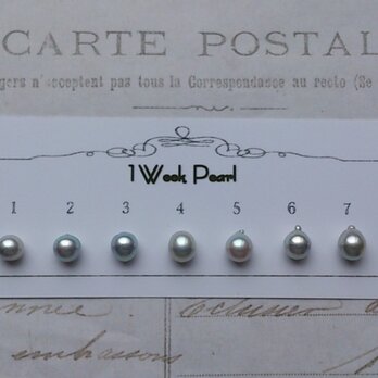 真珠７個セット（ナチュラル7.5ミリ）n.2000-3の画像