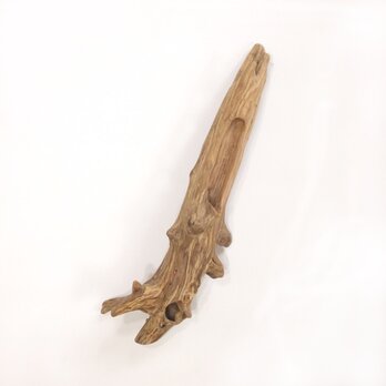 【温泉流木】まっすぐ飛んでいきそうなカッコイイ根の流木 流木素材 インテリア素材 オブジェ レイアウトの画像