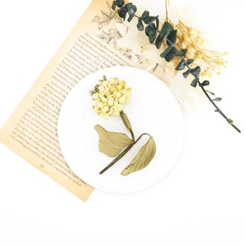 Corsage. コサージュ" 菜の花 "の画像