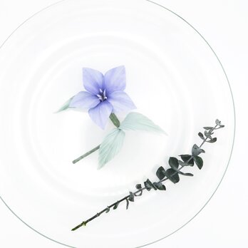 Corsage. コサージュ" 桔梗 (1輪) " | シルクの画像