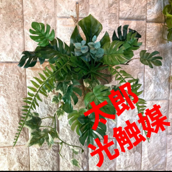 光触媒　人工観葉植物　ウォールグリーン　フェイク　フラワー　モンステラ麻壁掛けの画像