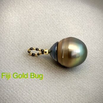 Fiji Gold Bug（フィジーゴールドバグ）の画像