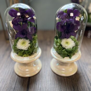 クリアドーム 仏花 供花 菊　デンファレ　（花器ホワイト）の画像