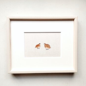 【一点物】原画「うずら/ドローイング」水彩イラスト　※木製額縁入りの画像