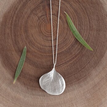 Eucalyptus round leaf necklace [P098SV]の画像