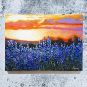 ラベンダー畑の夕日影の画像