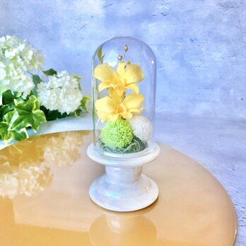 やわらかな黄色の仏花ドーム　　/プリザーブドフラワー/お悔やみ/仏花/御供えの画像