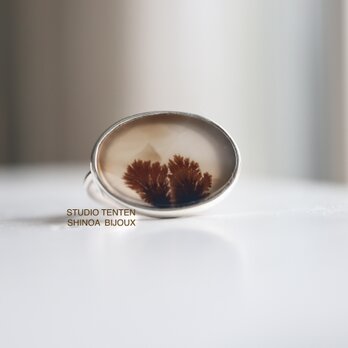 [botanical artのdendritic agate]ringの画像