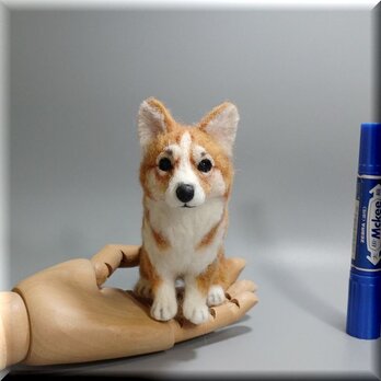 羊毛フェルト　犬　コーギー　ウェルシュ・コーギー　いぬ　イヌ　犬フィギュアの画像