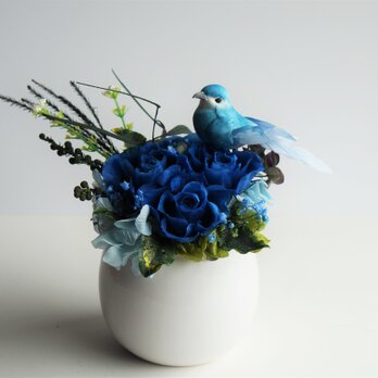 プリザーブドフラワー・幸せの青い鳥の画像