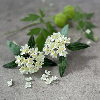 布花　白く小さな可憐な花姿。控えめな香りの銀木犀のコサージュの画像