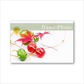 1607) 小さい秋見つけた！スズメウリ・イガグリ・どんぐり・烏瓜     ポストカード5枚組の画像
