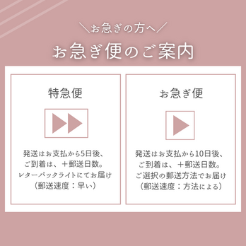 オプション販売｜お急ぎ便の画像