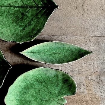 月桂樹の葉型小皿の画像