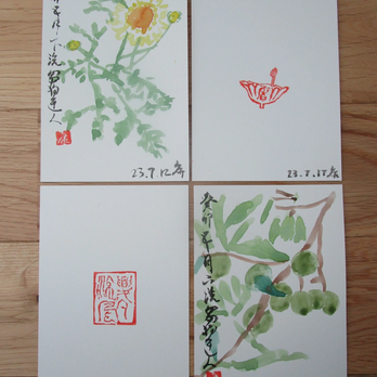 夏の植物　ポストカードセット　その2　①の画像