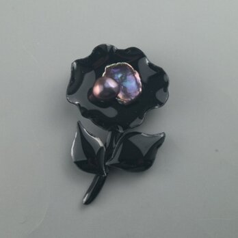 漆黒真珠のお花の画像