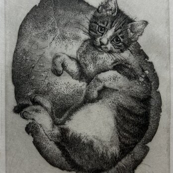 猫　銅版画　額装の画像