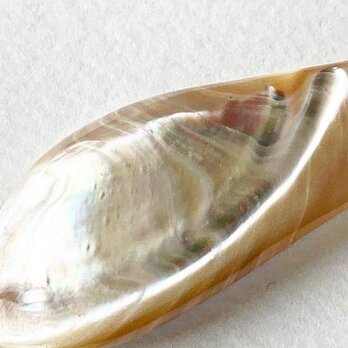世界で最も美しい真珠層！一点物の高瀬貝のファーストマザーリップで作った、ペンダント※紐フリーサイズの画像