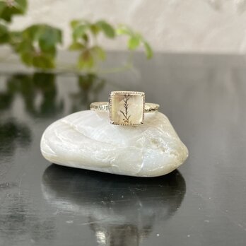 一凛と月明かり